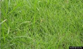images_004